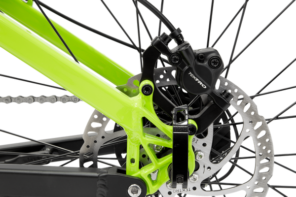 Argento Performance Pro