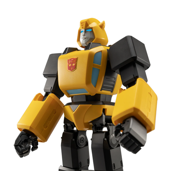 TRANSFORMERS BUNDLE